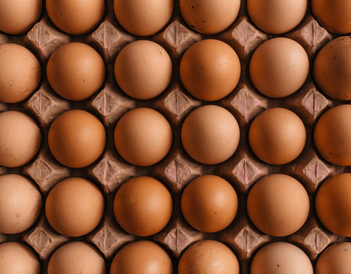 A large number of eggs, neatly arranged in a uniform layout.